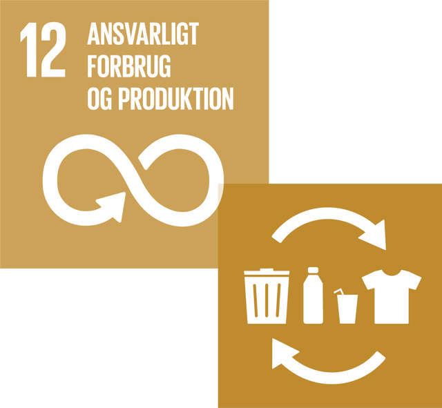 billede af FN's verdensmål 12 og 12.5