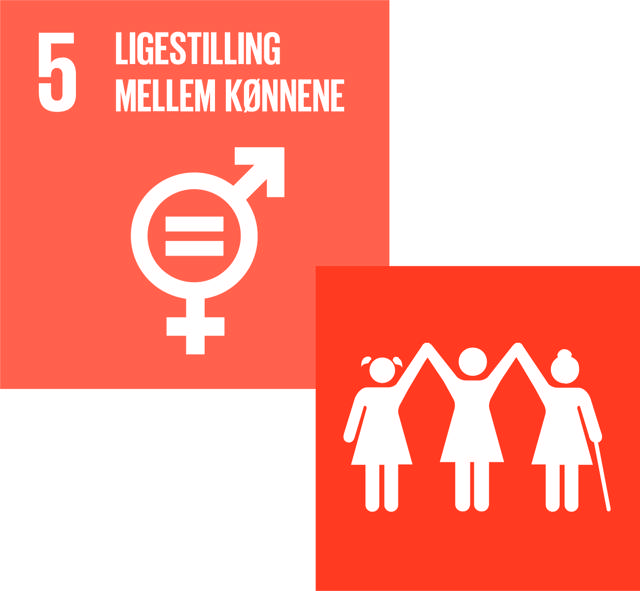 billede af FN's verdensmål 5 og 5.1